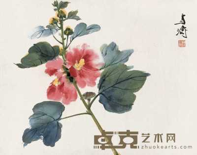 王雪涛 花卉 立轴 34.5×43.5cm